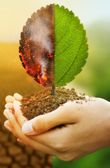 Environmental