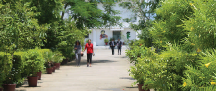 iim1_img